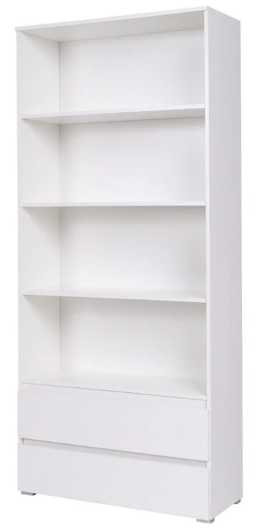 C03 - REGAL SZEROKI b.jpg