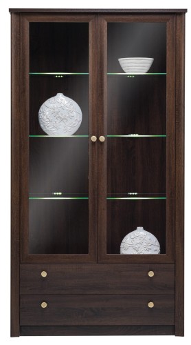 F22 Witryna 2 drzwi.jpg