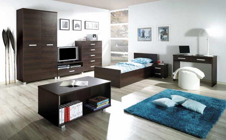 MAXIMUS (3).jpg