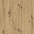 5d60d1d11204fDĄB_ARTISAN.jpg