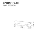 Ca10.jpg