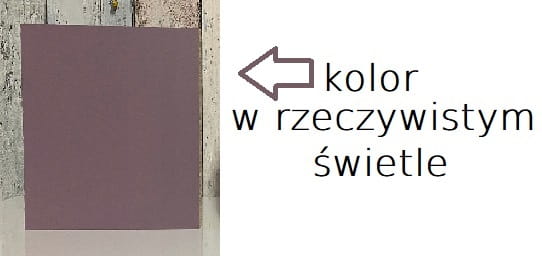 śliwka real.jpg