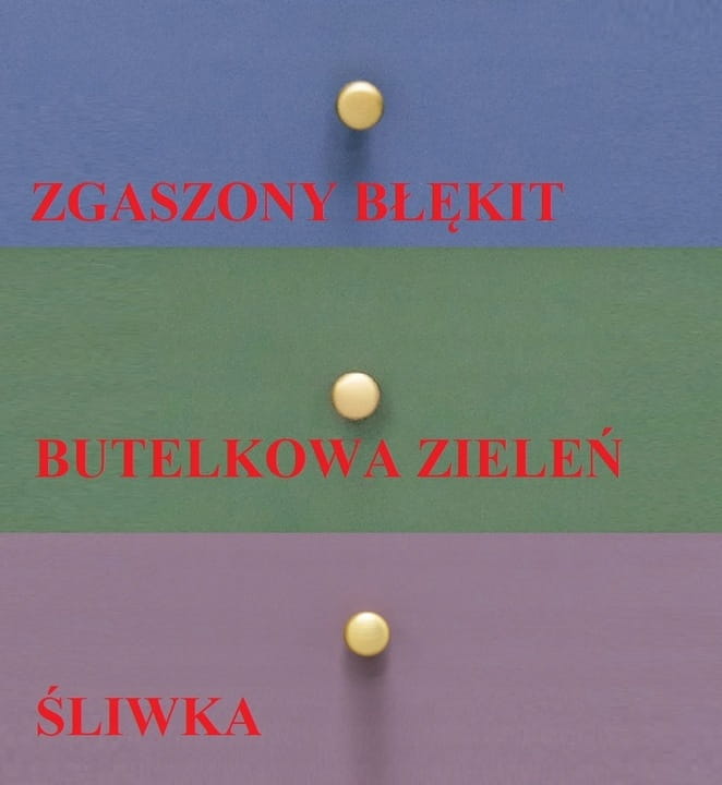 Szafa-otwierana-z-lustrem-3-szufladami-SIENA-D2-zgaszony-blekit-niebieska-Szerokosc-mebla-100-cm.jpg