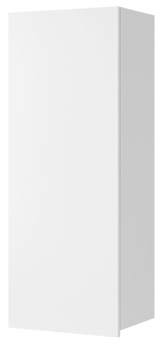 C WISZ PION biała.jpg